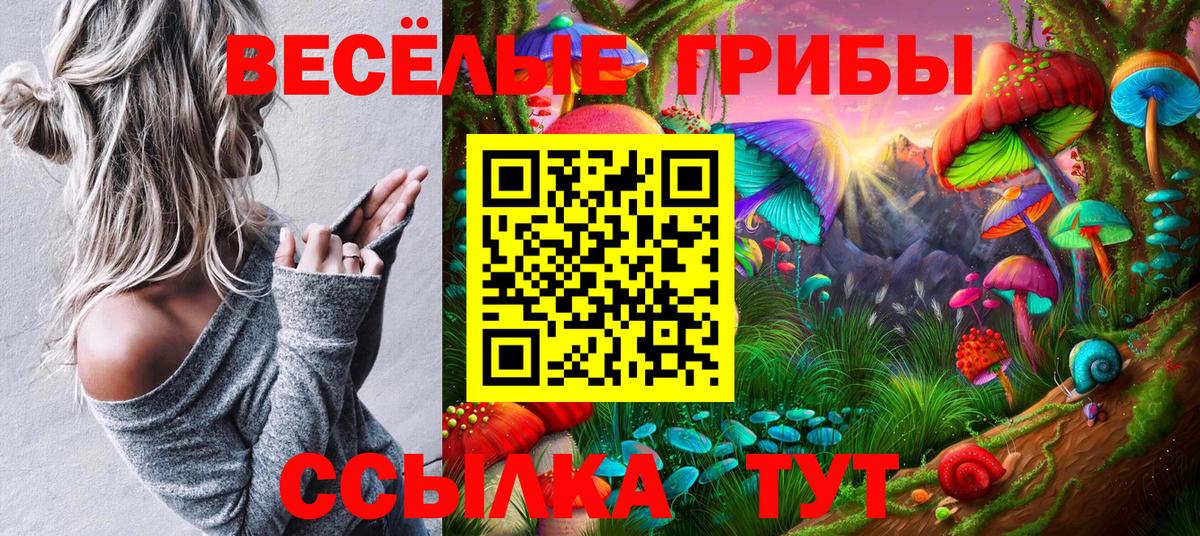 Псилоцибиновые грибы Psilocybine cubensis Менделеевск
